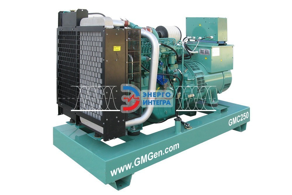 Дизельная электростанция GMGen&nbsp;GMC250 фото № 2
